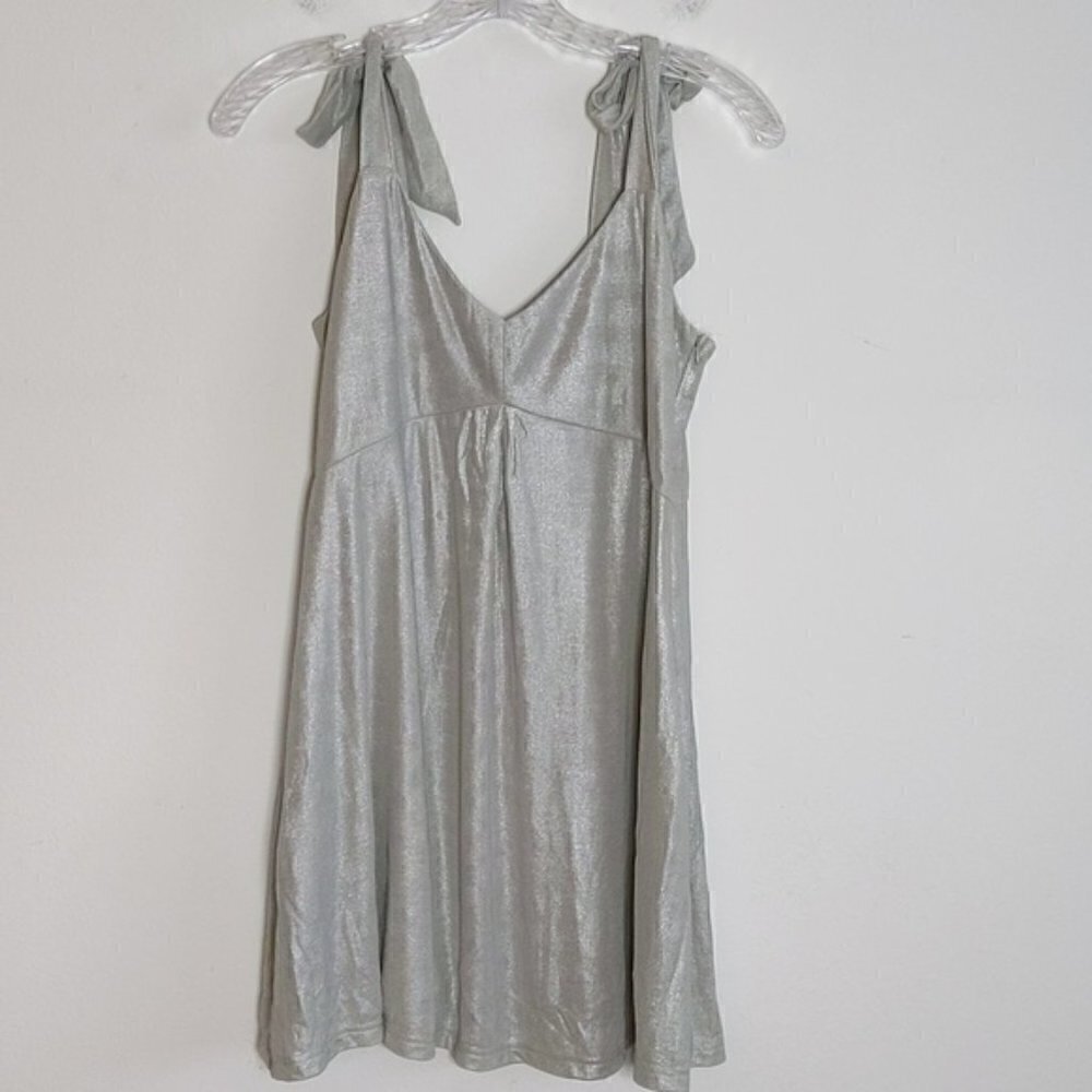 Honey Punch Silver Mini Dress